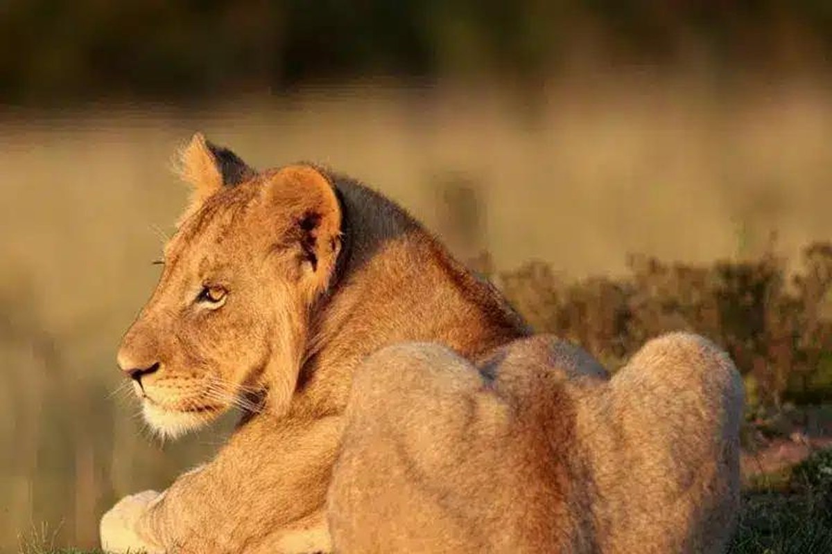 Dinokeng getaway inspiration