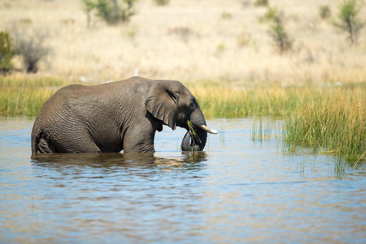 Pilanesberg getaway inspiration