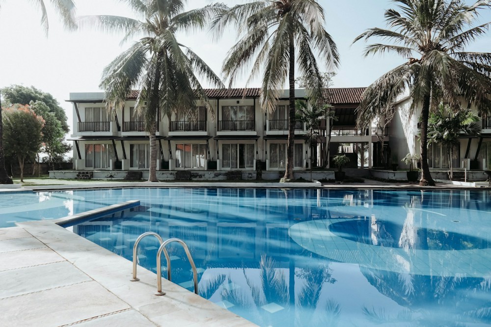 Palm trees beside a sunlit resort swimming pool