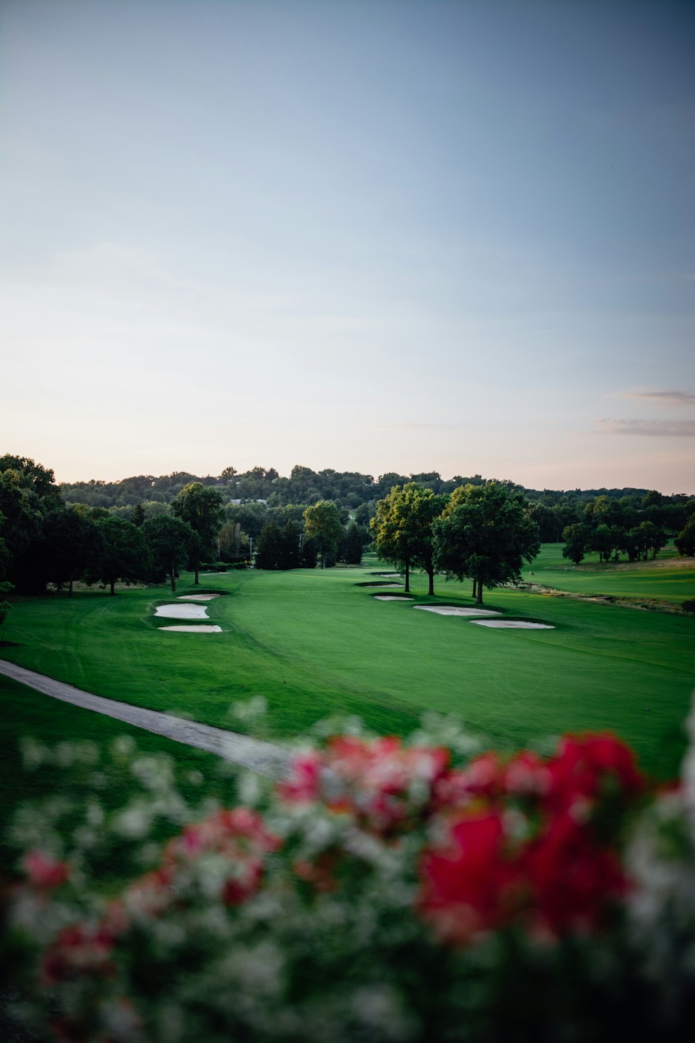 Beautiful green golf fairway with sand bunkers